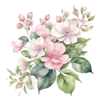 Watercolor Flower Bouquet, Watercolor Design png