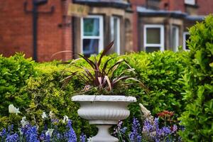 Stone planter with plants in front of brick building photo