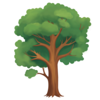 bosque árbol naturaleza png