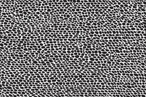 art design black and white texture overlay monochrome texture for background or texture vector