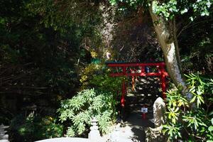 Fukuoka, Japan - December 10, 2023 - Traditional Japanese park of Nanzoin Temple in Fukuoka, Japan photo