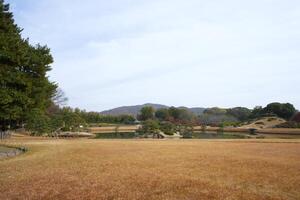 el ver de okayama korakuen jardín foto