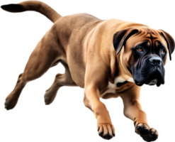 Bullmastiff dog with expressive eyes looks forward. AI-Generated. png