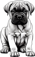 Bullmastiff Hund mit ausdrucksvoll Augen sieht aus nach vorne. KI-generiert. png