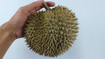 hand holding Durians fruits isolated on white background photo
