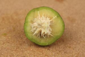 Kedondong or ambarella is a tropical tree,this fruit commonly used as salad fruit or rujak photo
