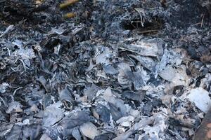 Background texture of ash left over from burning leaves and tree twigs photo