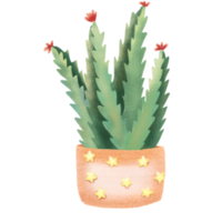 Cactus in a pot, hand-drawn png