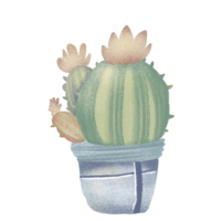 Cactus in a pot, hand-drawn png