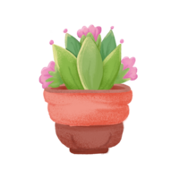 Cactus in a pot, hand-drawn png