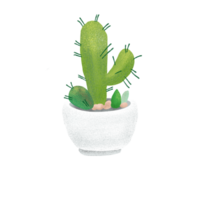 Cactus in a pot, hand-drawn png