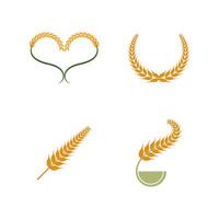 Agriculture wheat Logo vector