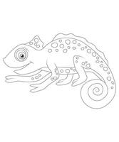 chameleon coloring page for kids and adults vector