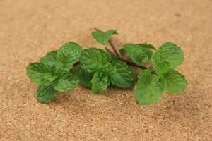 Mint leaf. Fresh Mint on wooden table. photo