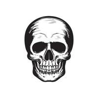 Skull in vintage style black and white, on white background vector