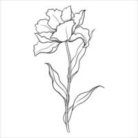 Linear Flower on a White Background vector