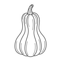 mano dibujado calabaza línea Arte. calabaza garabatear icono. negro y blanco calabaza ilustración. Perfecto para póster, saludo tarjeta, colorante página para niños y adultos vector