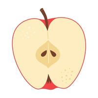 Red apple cut in half. One piece of red fruit with seeds. Apple half icon. Isolated on white. Hand drawn Trendy flat style. Healthy vegetarian snack, cut apple for design illustration vector