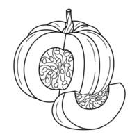 Hand Drawn Chopped pumpkin line art. Pumpkin doodle icon. Black and white Pumpkin illustration. Perfect For Poster, Greeting Card, Coloring page for kids and adults. vector