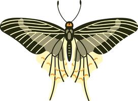 Beautiful butterfly with colorful wings. vector
