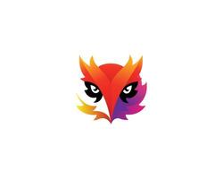 Colorful owl logo design icon concept template. vector