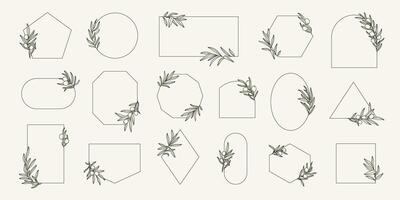 Minimal frames set with olive branches in minimal linear style. leaves and olive fruits . Logos template with olive plants. vector