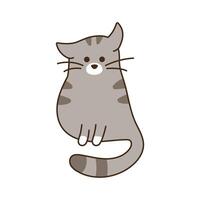 Cute cat sitting isolated. Domestic gray tabby kitten leans on its paws and looks. Fat cute character for sticker. Kawaii animal. Doodle style colored. illustration vector