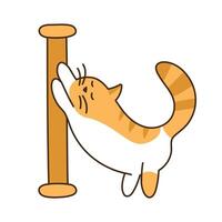 Cute striped cat sharpens its claws. Orange domestic kitten stands on its hind legs and leans on scratching post. Kawaii colored animal. Isolated children character for sticker. illustration vector