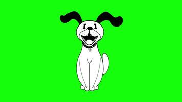 White Dog Character Green screen background video