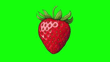 Erdbeere Obst Grün Bildschirm Hintergrund video