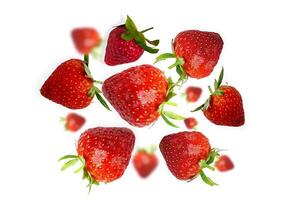 Bright red strawberries arranged neatly on a clean surface photo