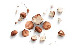 Fresh hazelnuts with visible kernels amidst broken shells photo