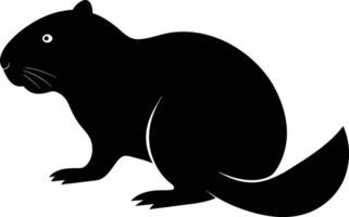 illustration of a squirrel vector