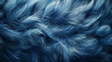 Close Up of a Blue Birds Feathers photo