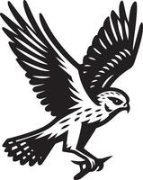 harrier bird silhouette illustration vector