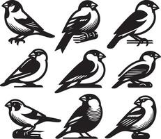 grosbeak bundle art Illustration vector