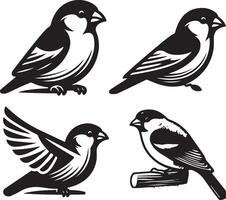 grosbeak bundle art Illustration vector