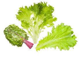 Crisp lettuce leaves beautifully arranged on a stark background photo