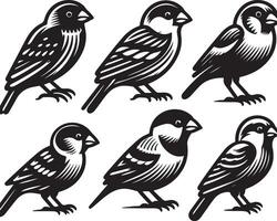 grosbeak bundle art Illustration vector