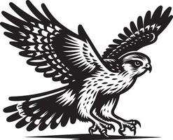 harrier bird silhouette illustration vector