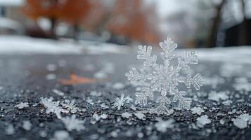 Close Up of Snowflake on the Ground photo