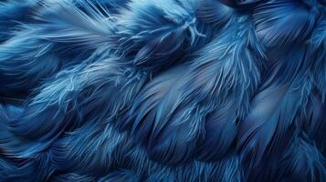 Close Up of a Blue Birds Feathers photo