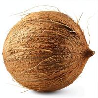 Close Up of a Coconut on White Background photo