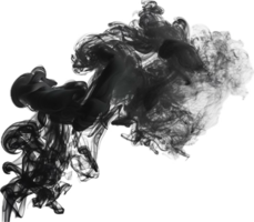 Flowing Black Ink Swirls. png