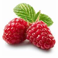 Close Up of a Raspberry on White Background photo