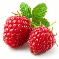 Close Up of a Raspberry on White Background photo