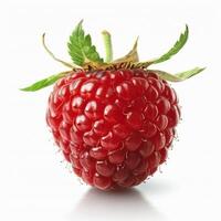 Close Up of a Raspberry on White Background photo