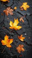Group of Yellow Leaves on Wet Ground photo