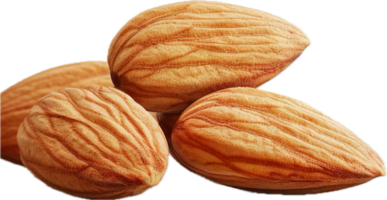 Close-up of raw almond nuts. png