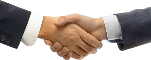 Business Handshake Between Two Professionals. png